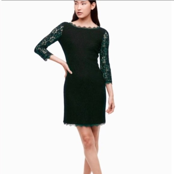 Aritzia Babaton Rafael Lace Dress
